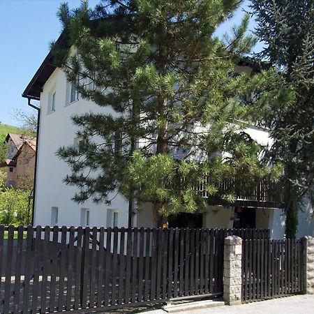Apartment Zupan ماريبور المظهر الخارجي الصورة